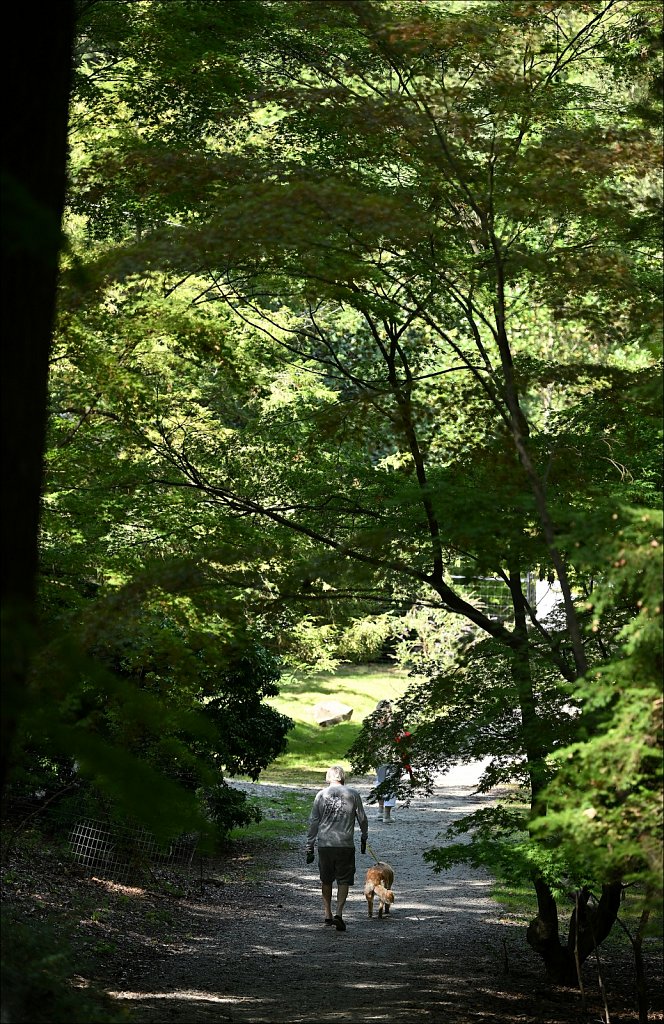 Laurelwood Arboretum 