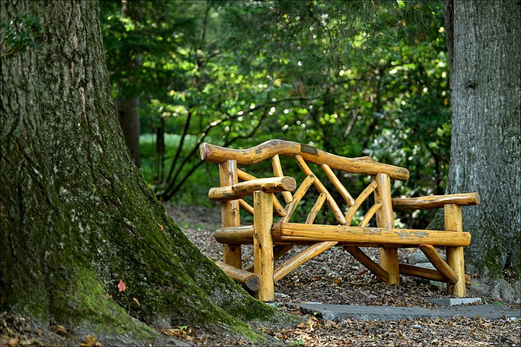 Laurelwood Arboretum 