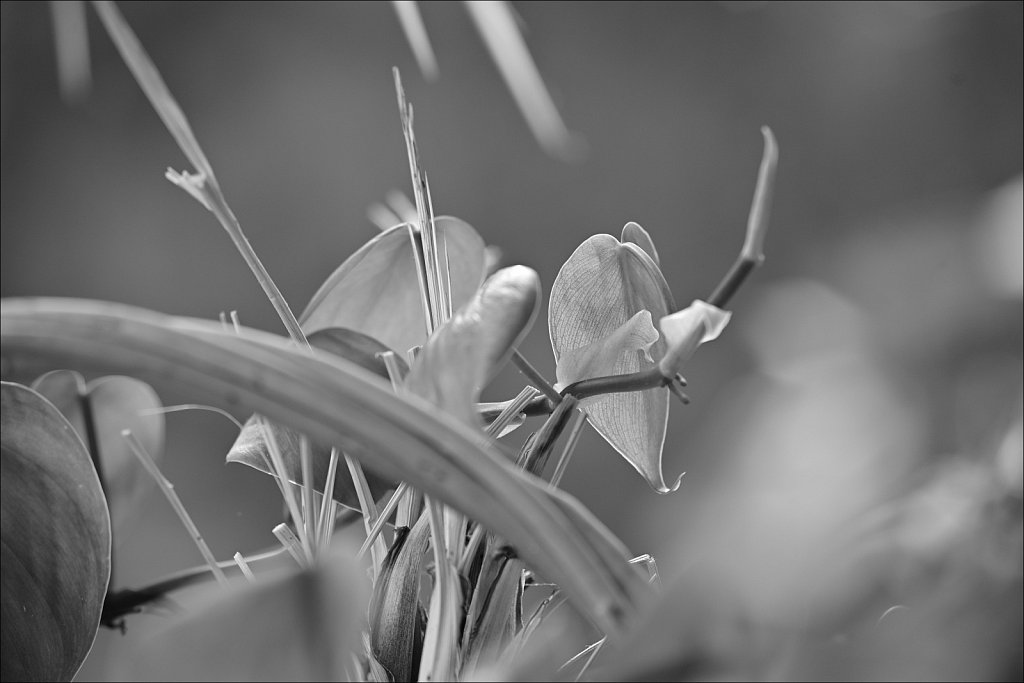 A Visit with Mom and Dad